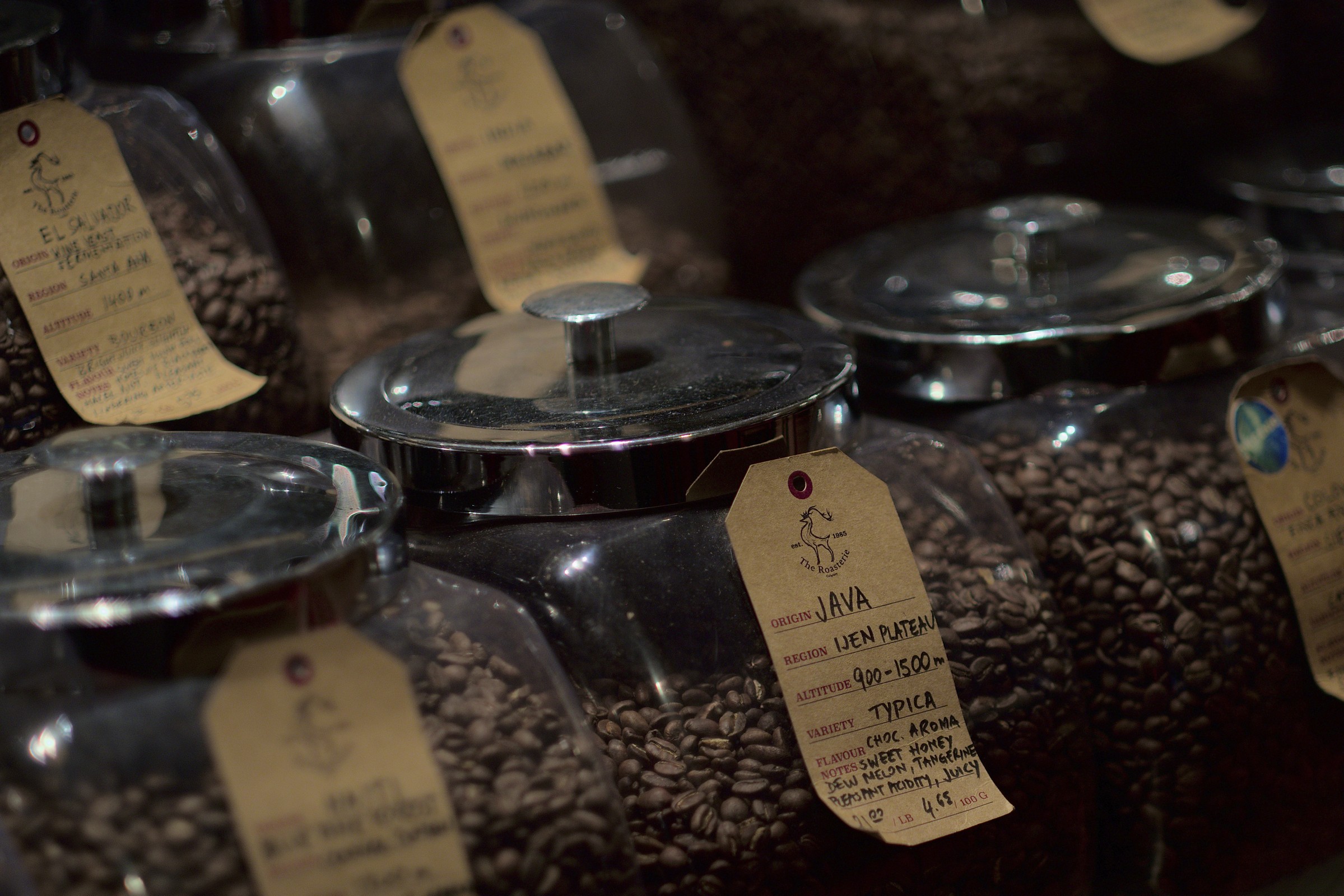 Coffee In Kensington